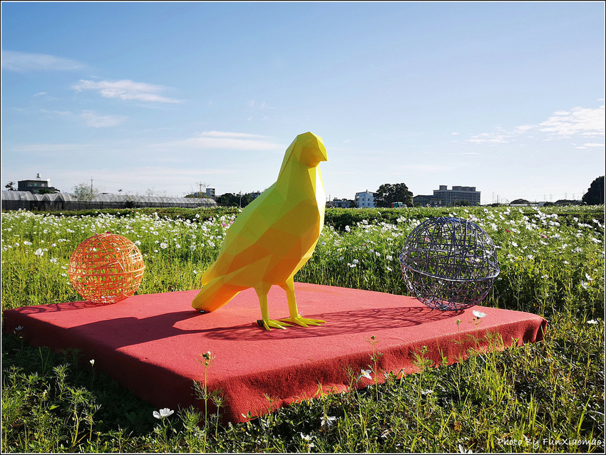 好客園區花海節 - 103.jpg