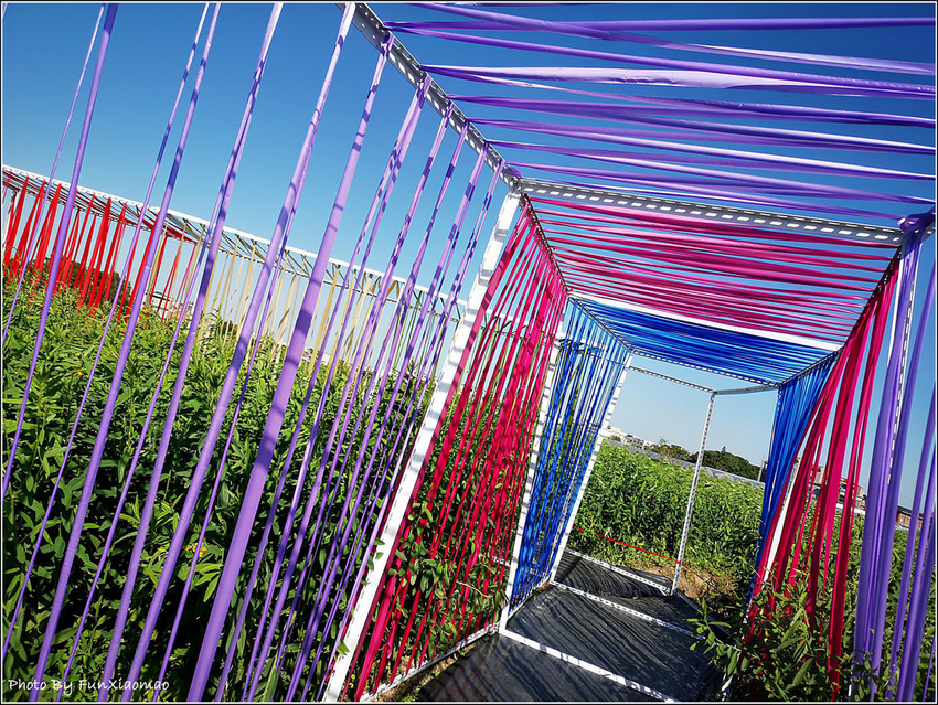 好客園區花海節 - 042.jpg