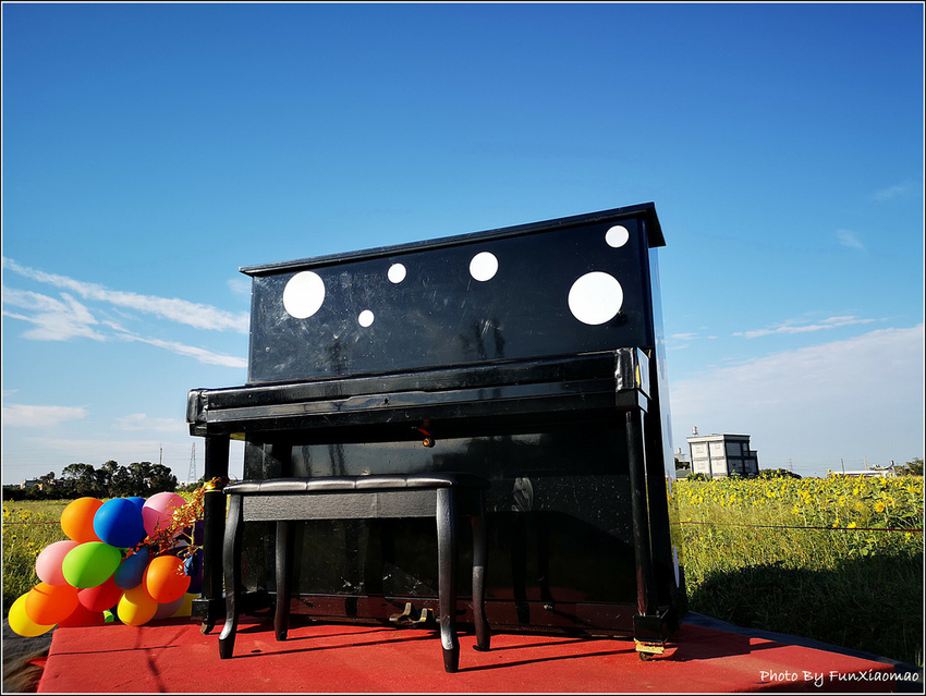 好客園區花海節 - 115.jpg