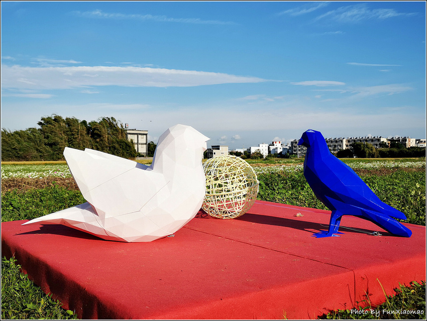 好客園區花海節 - 105.jpg