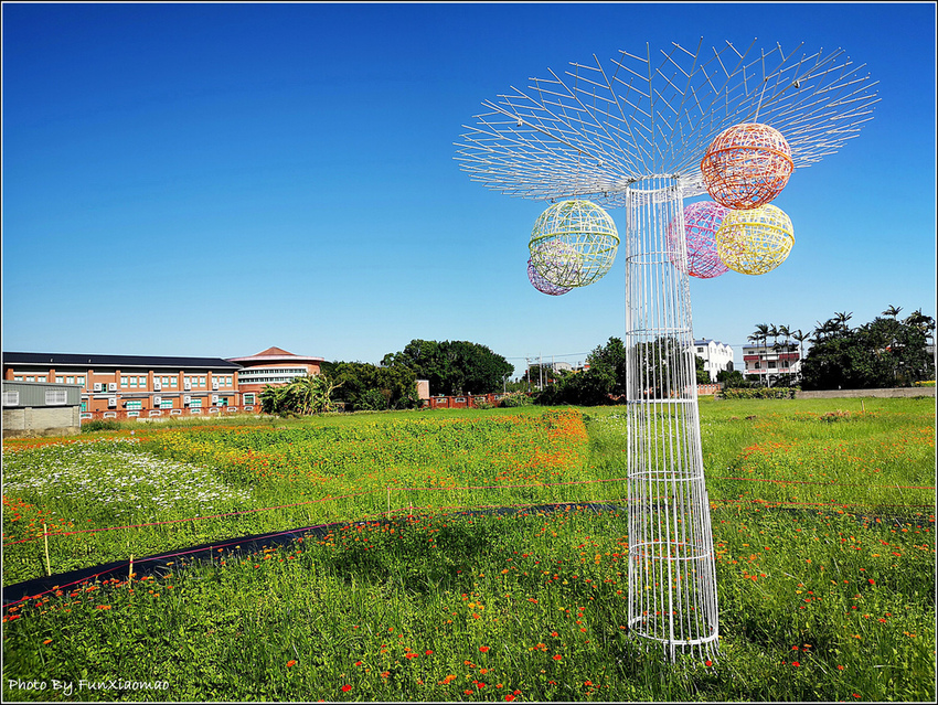 好客園區花海節 - 039.jpg