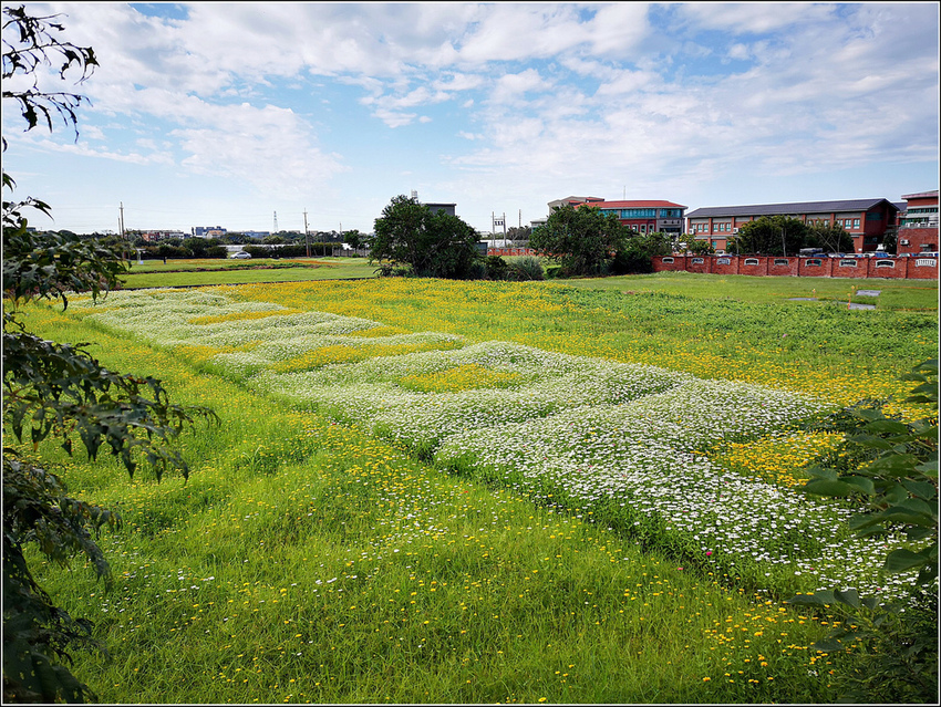 好客園區花海節 - 078.jpg