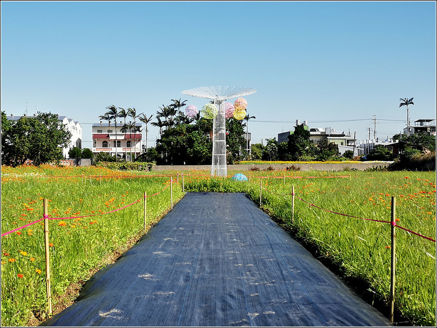 好客園區花海節 - 036.jpg