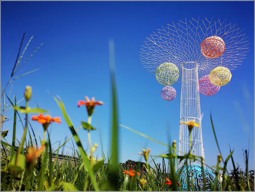 好客園區花海節 - 040.jpg