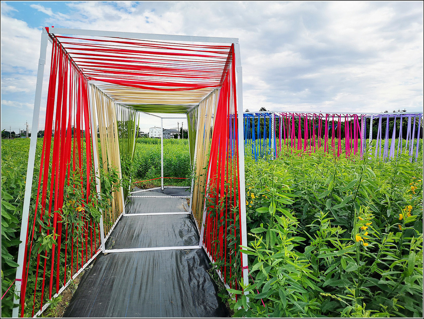 好客園區花海節 - 095.jpg