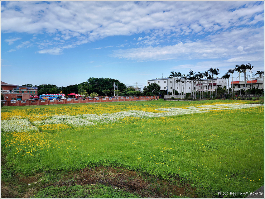 好客園區花海節 - 074.jpg