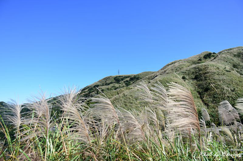 1121 1-不厭亭07.jpg