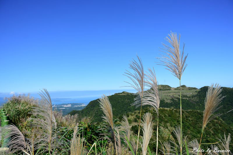 1121 1-不厭亭04.jpg