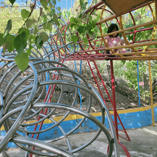 IMG20210508164447 IMG20210508164447