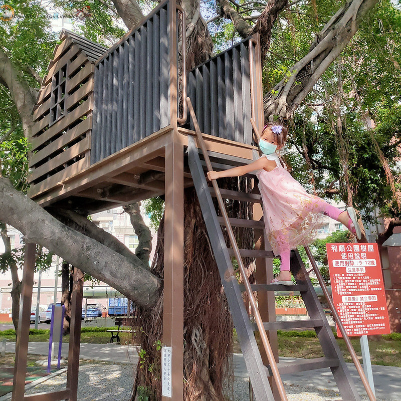 51584554724_f85469b089_c