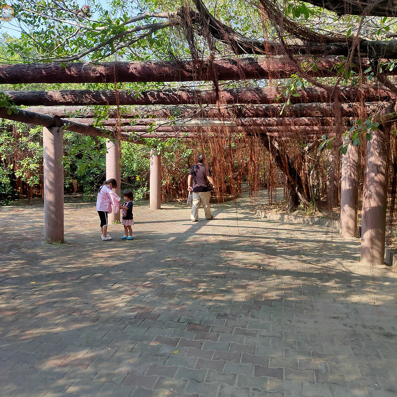 51626843372_cbfd4d0d44_c