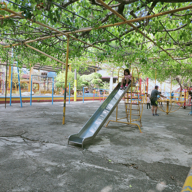 IMG20210508165015 IMG20210508165015