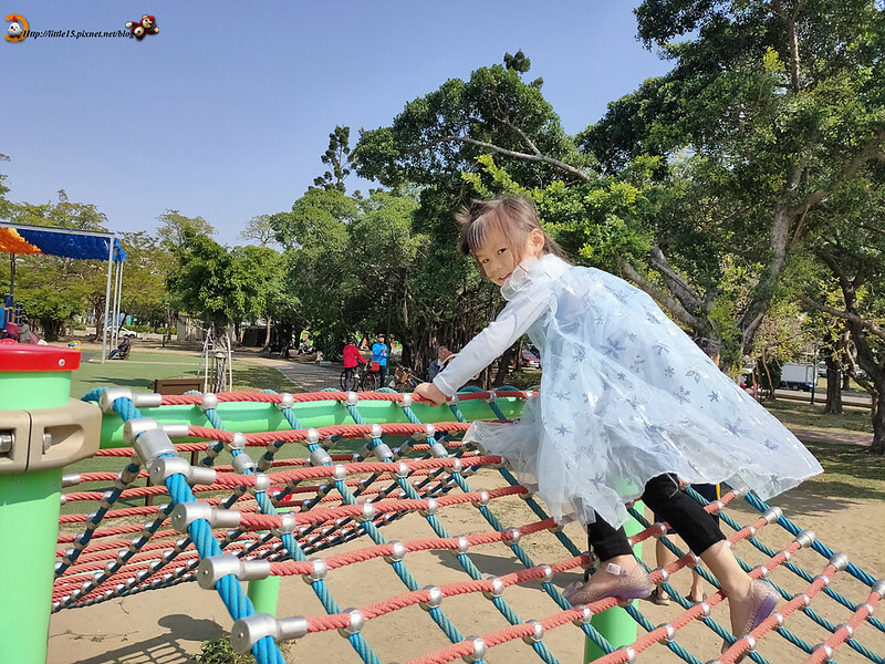 49515601311_c7416b5fe4_b