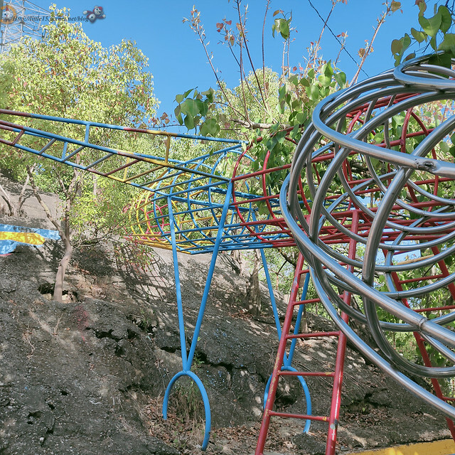 IMG20210508164516 IMG20210508164516