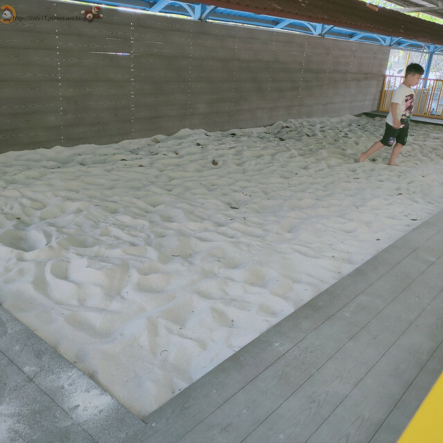 IMG20210508164558 IMG20210508164558