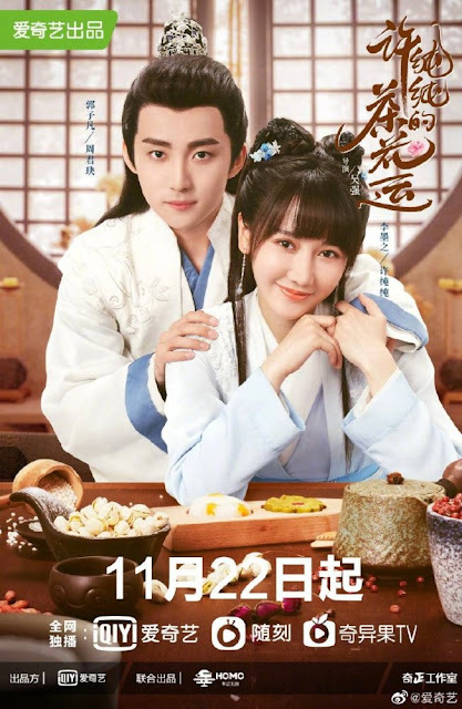 11月電視劇推薦楊紫『女心理師』宋祖兒『陪你逐風飛翔』蘇曉彤『心跳戀愛』