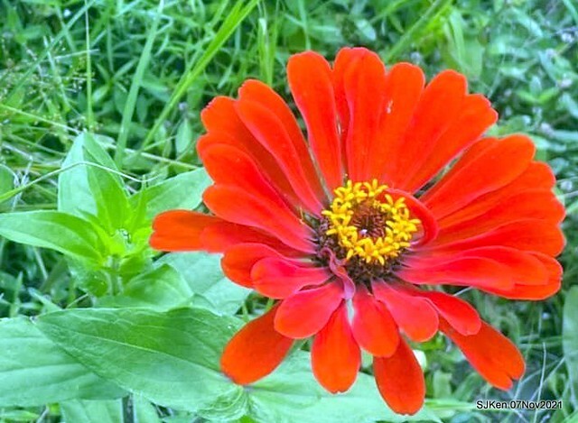 089-247683773_4746073138783787_4171421549719481966_n