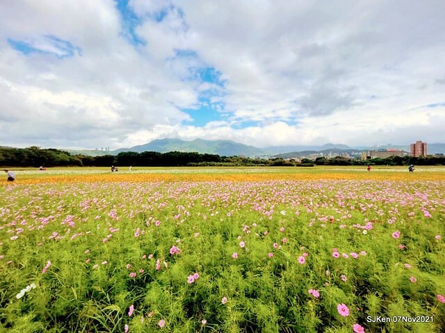 014-248852595_4746073062117128_1363430934634132324_n