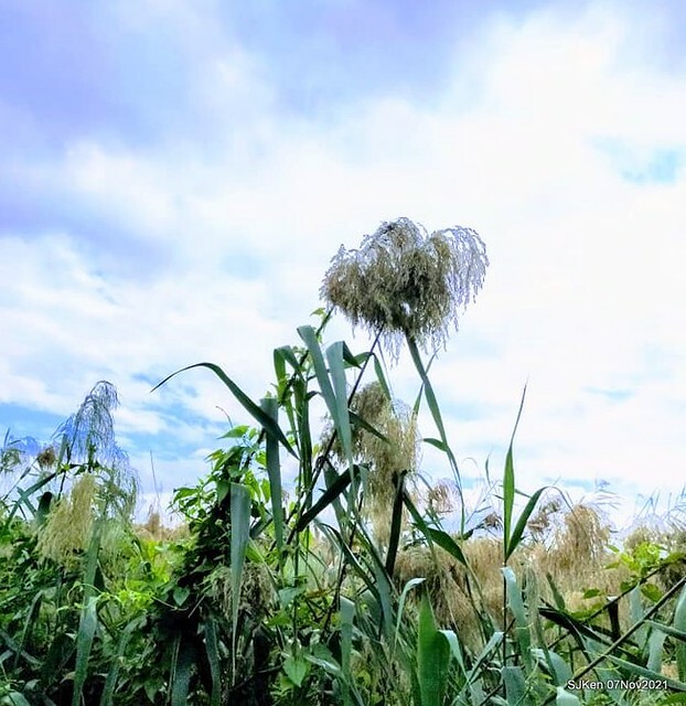 035-249829535_4762345530489881_4610729508663637283_n