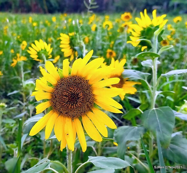 110-249766717_4762347480489686_6127969194960749131_n