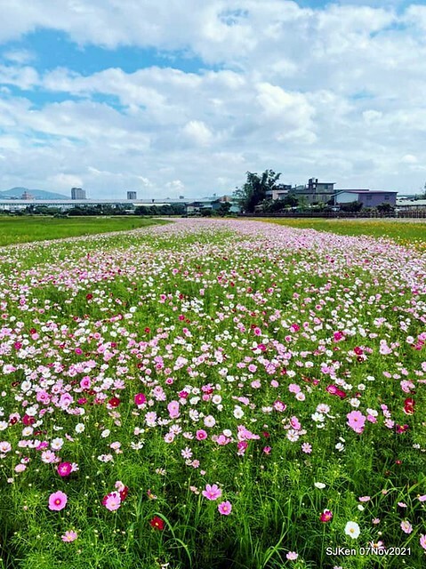 098-248372532_4746080285449739_5619022273171786861_n