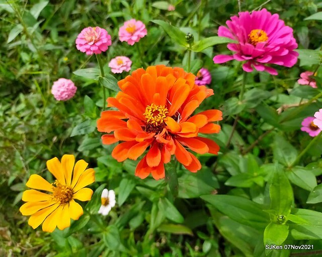 124-248716910_4762348613822906_7347065040335304108_n