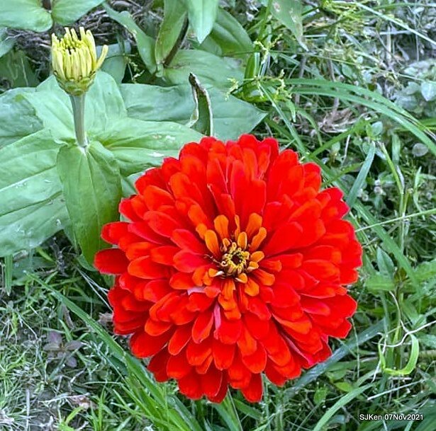 090-250736336_4746074422116992_9172193687560328522_n