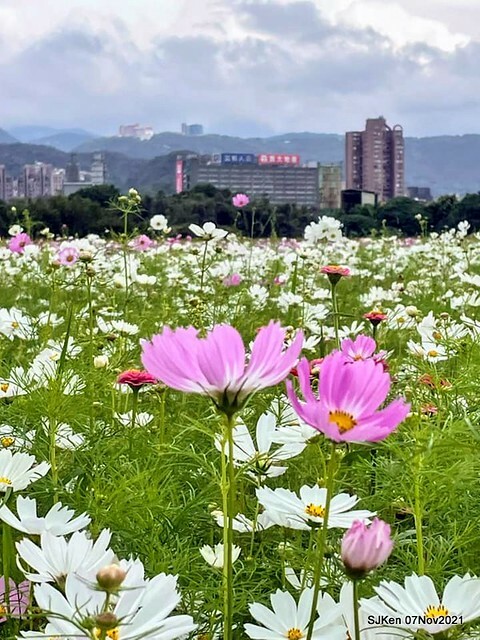 066-247621322_4746073702117064_2493719923822327770_n