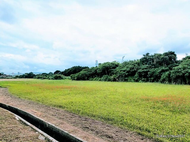 056-252018845_4762343827156718_183115778697620877_n