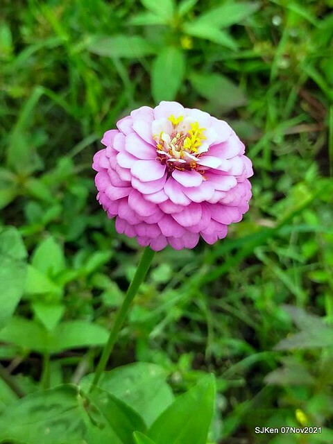 091-251651595_4762349187156182_5099268867435810464_n