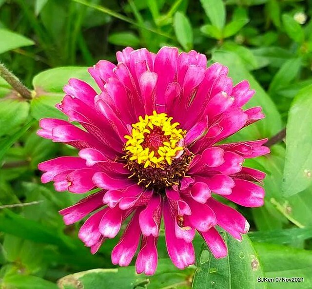 095-249875415_4762348970489537_3139783467186597623_n