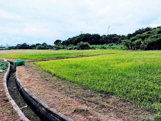 078-249839702_4762344350489999_4688000608748184404_n