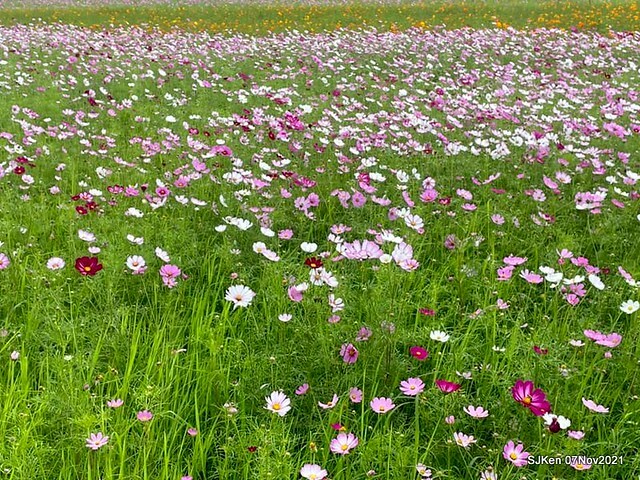 087-248893093_4746085162115918_6269949958271594484_n