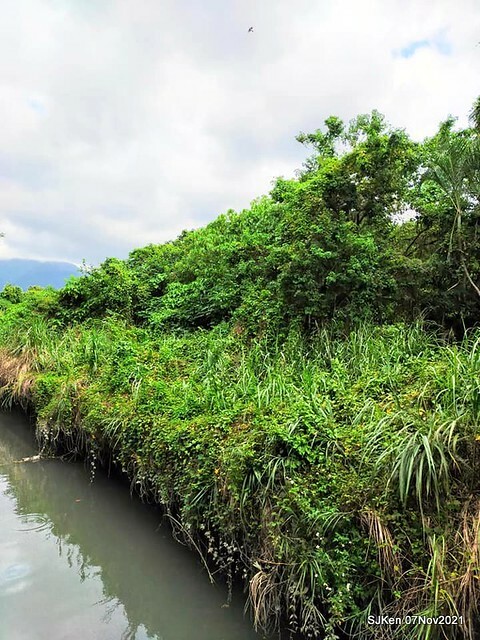 048-252720942_4762342397156861_4715872879673563533_n