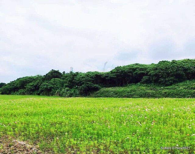 057-252755843_4762343270490107_6687150851513324293_n