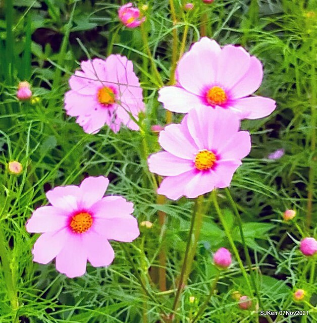 102-253381954_4762347057156395_8157896304803953121_n