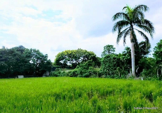 036-254554071_4762341300490304_805935213954464795_n