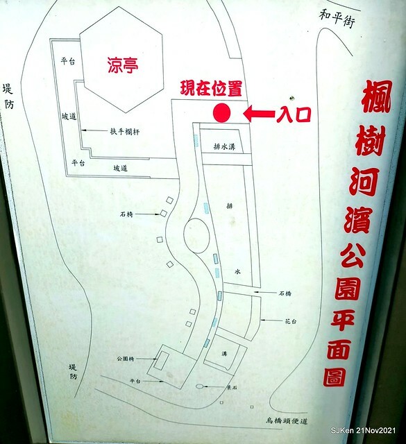 新北市泰山區楓樹河濱公園「蒜香藤」(Garlic Vine)花季，2021.11.19 ~ 2021.11,28, SJKen, Hsinpei city, Nov 21, 2021.