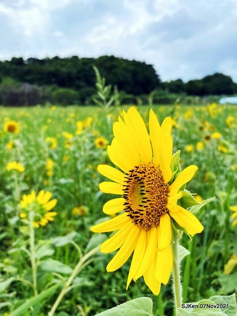 114-248703618_4746072358783865_1280819376813143388_n