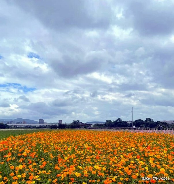 106-249614176_4746081795449588_7713555892897759541_n