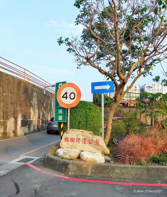 新北市泰山區楓樹河濱公園「蒜香藤」(Garlic Vine)花季，2021.11.19 ~ 2021.11,28, SJKen, Hsinpei city, Nov 21, 2021.