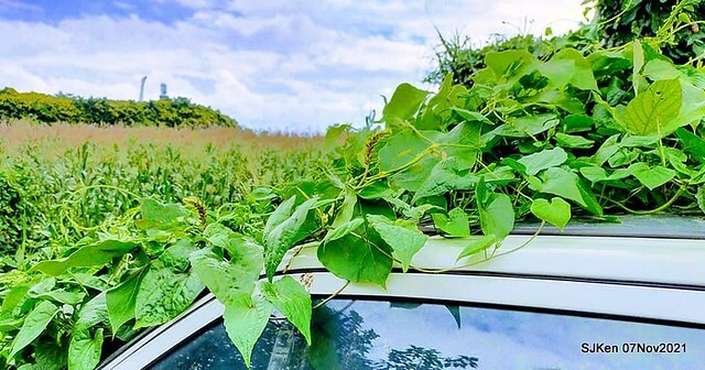 031-252266631_4762340183823749_2943127400453151578_n