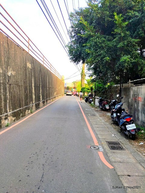 新北市泰山區楓樹河濱公園「蒜香藤」(Garlic Vine)花季，2021.11.19 ~ 2021.11,28, SJKen, Hsinpei city, Nov 21, 2021.