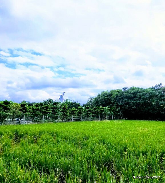 038-250926953_4762340990490335_2199799099497851917_n