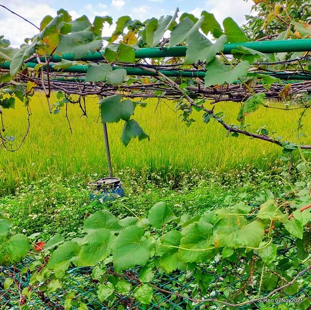 044-248926713_4762341473823620_3555356196143627276_n