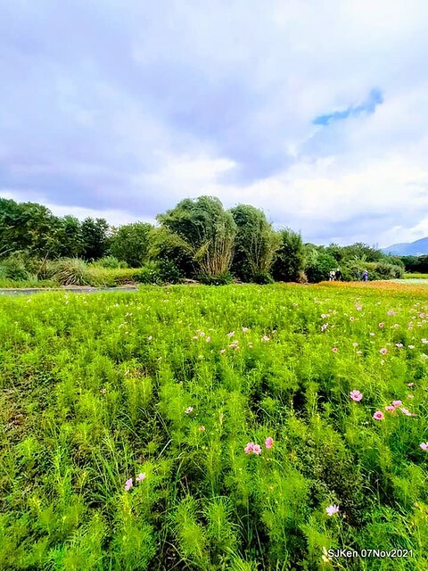 052-251166127_4762345757156525_2909045626016704559_n