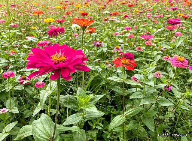 131-249903061_4746071745450593_7754112959350871116_n