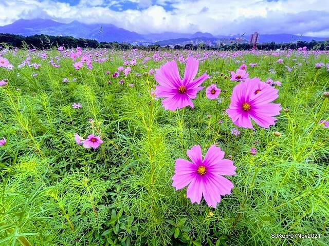 067-250581123_4746072158783885_3593023477779064685_n