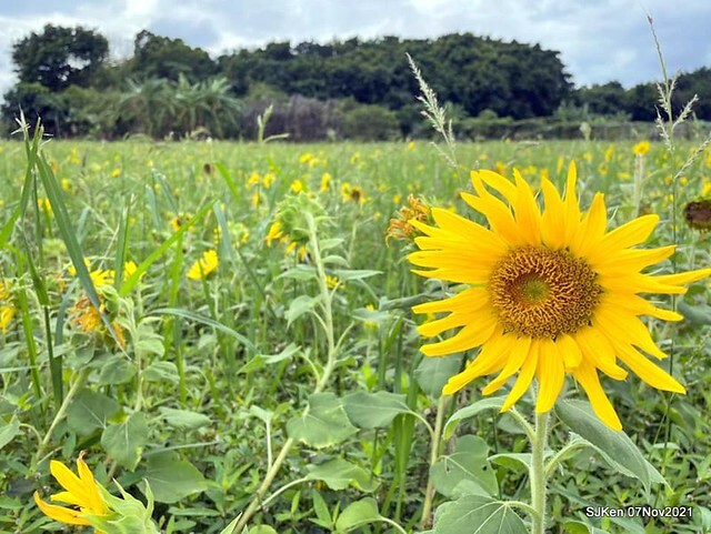 115-247393304_4746072478783853_7176523884742341083_n