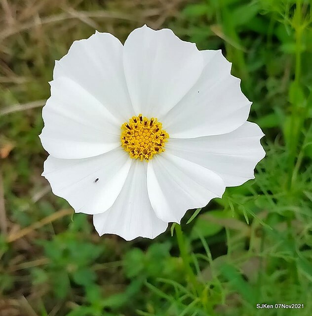 119-253617625_4762347957156305_1927846856603581057_n